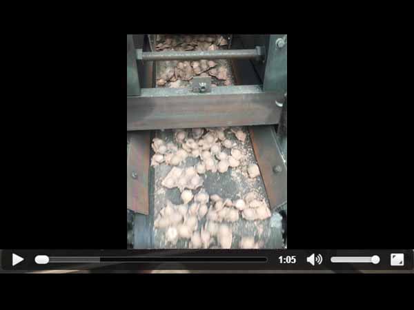 �X�\������ҕ�l